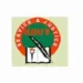 Kenya National Union of Teachers, KNUT, Constitution