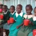 List of Schools in Nyamira County, Nyamira South, Kenya