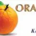 ODM Party’s Disciplinary Committee Summons 10 Members over gross misconduct