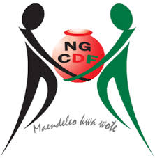 National Government CDF logo