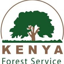 The Kenya Forest Service