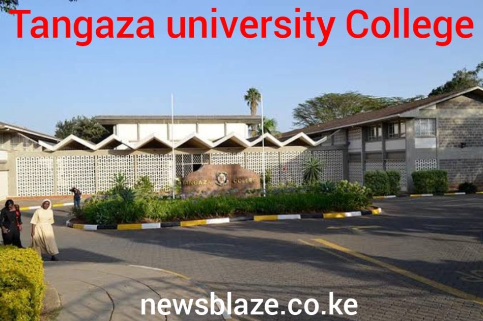Tangaza University KUCCPS Approved Courses, Admissions, Intakes, Requirements, Students Portal, Location and Contacts