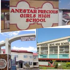 List of Sub County Secondary Schools in Nakuru County; School KNEC Code, Type, Cluster, and Category