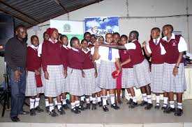 County Secondary Schools in Machakos County; School KNEC Code, Type, Cluster, and Category