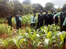 Matungulu boys high school