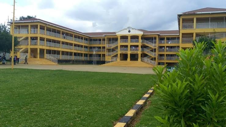 Rift valley Technical Training Institute Courses, Requirements, Contacts, Location, How to apply, fees and website