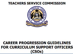 Career Guidelines For Curriculum Support Officers.