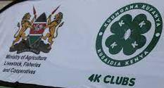 4K clubs in schools.