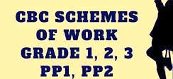 Free PP1 Exams and other materials.