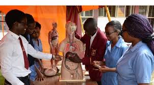 KMTC Diploma Courses Details