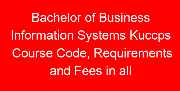 Bachelor of Business Information Systems Kuccps Course Code, Requirements and Fees in all universities