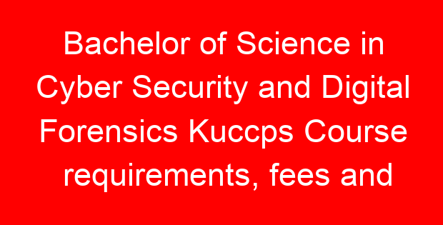 Bachelor of Science in Cyber Security and Digital Forensics Kuccps Course requirements, fees and duration