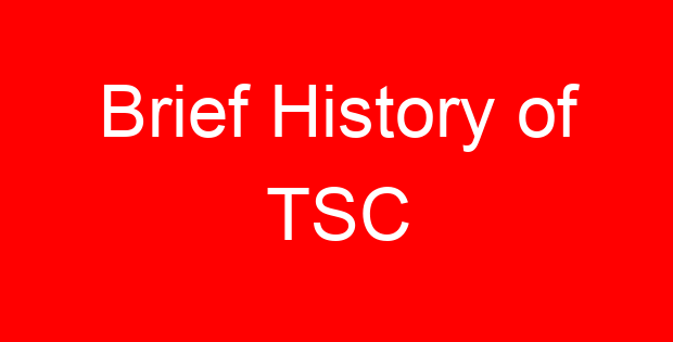 Brief History of TSC