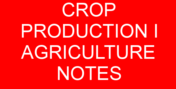 CROP PRODUCTION I AGRICULTURE NOTES