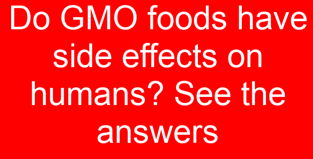 Do GMO foods have side effects on humans? See the answers