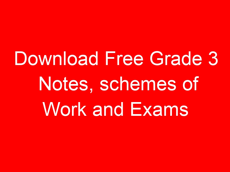 Download Free Grade 3 Notes, schemes of Work and Exams