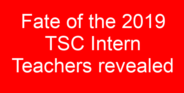 Fate of the 2019 TSC Intern Teachers revealed