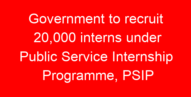 Government to recruit 20,000 interns under Public Service Internship Programme, PSIP