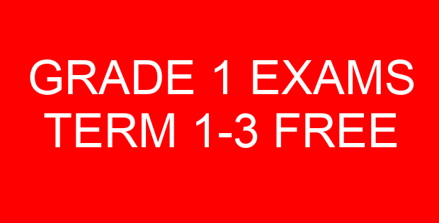GRADE 1 EXAMS TERM 1-3 FREE