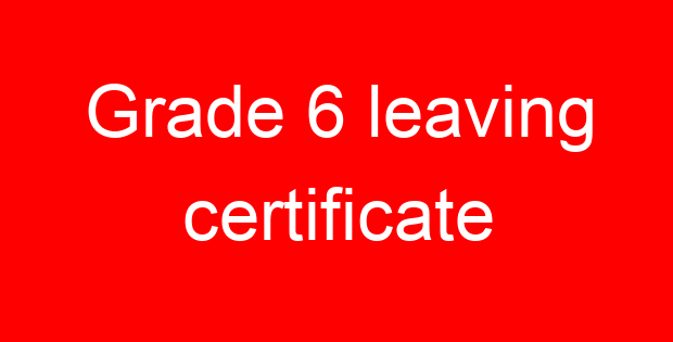 Grade 6 leaving certificate