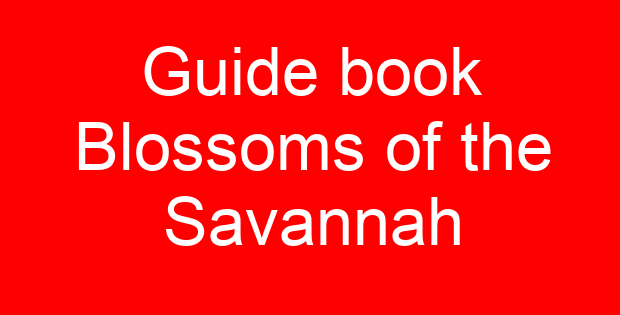 Guide book Blossoms of the Savannah