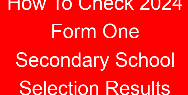 How To Check 2024 Form One Secondary School Selection Results