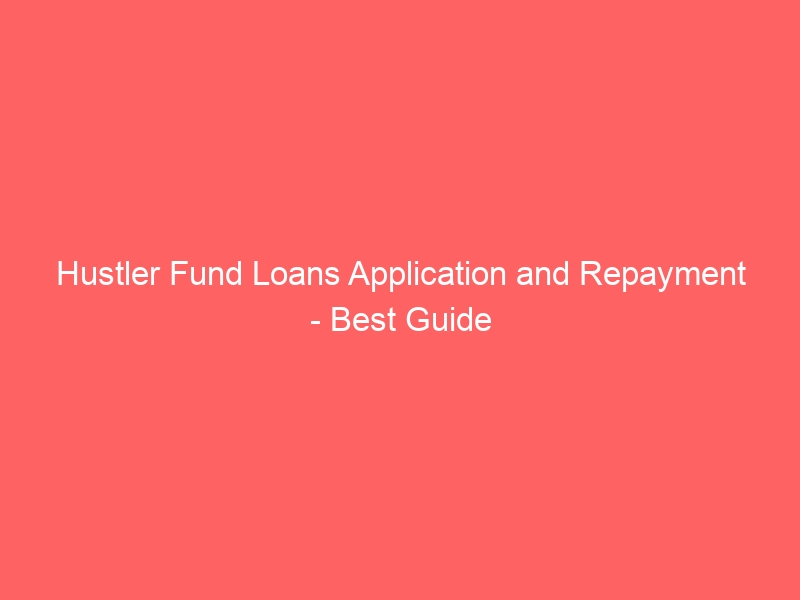 Hustler Fund Loans Application and Repayment – Best Guide
