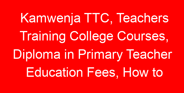 Kamwenja TTC, Teachers Training College Courses, Diploma in Primary Teacher Education Fees, How to apply