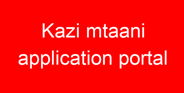 Kazi mtaani application portal