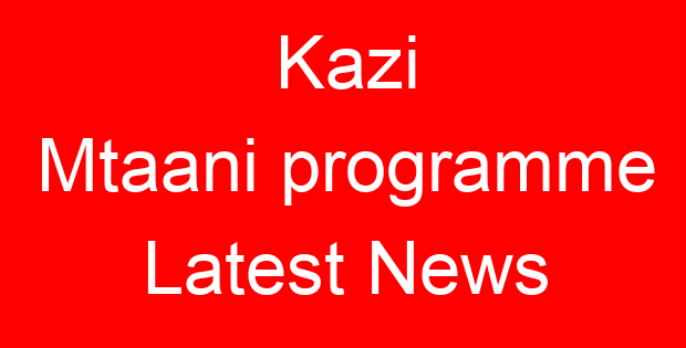 Kazi Mtaani programme Latest News