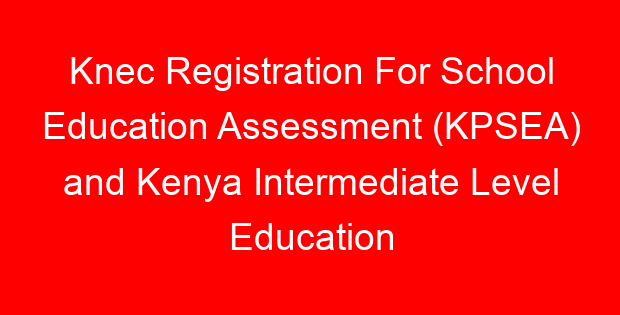 Knec Registration For School Education Assessment (KPSEA) and Kenya Intermediate Level Education Assessment (KILEA) Complete Guide, Portal