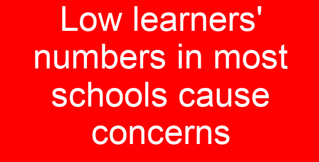 Low learners’ numbers in most schools cause concerns