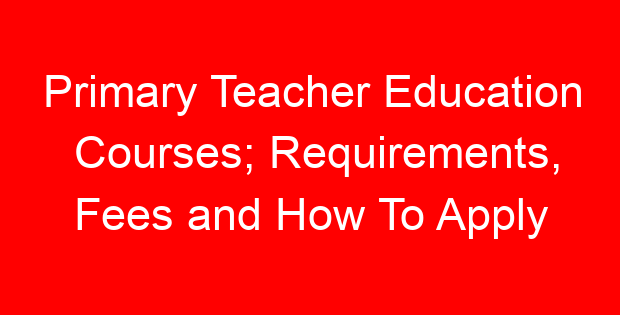 Primary Teacher Education Courses; Requirements, Fees and How To Apply