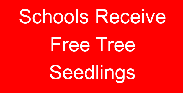 Schools Receive Free Tree Seedlings