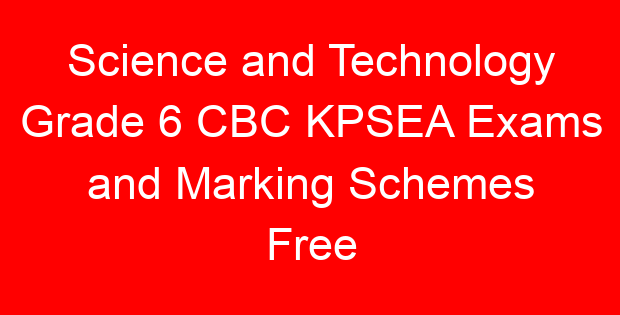 Science and Technology Grade 6 CBC KPSEA Exams and Marking Schemes Free