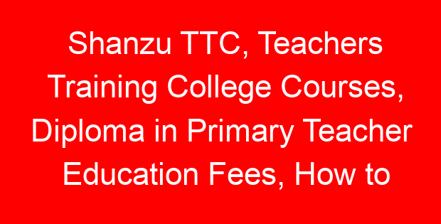 Shanzu TTC, Teachers Training College Courses, Diploma in Primary Teacher Education Fees, How to apply
