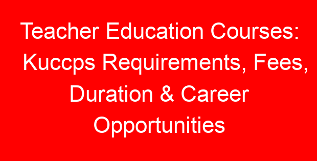 Teacher Education Courses: Kuccps Requirements, Fees, Duration & Career Opportunities