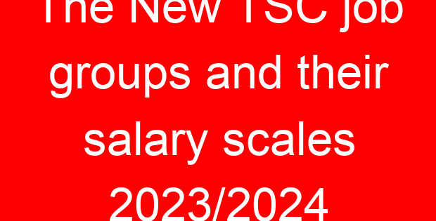 The New TSC job groups and their salary scales 2023/2024