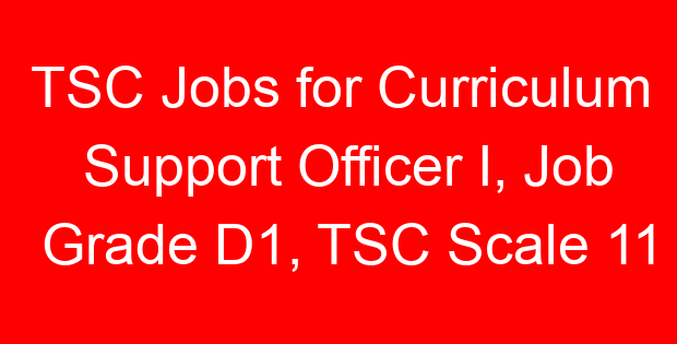 TSC Jobs for Curriculum Support Officer I, Job Grade D1, TSC Scale 11