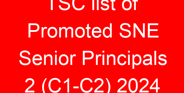TSC list of Promoted SNE Senior Principals 2 (C1-C2) 2024