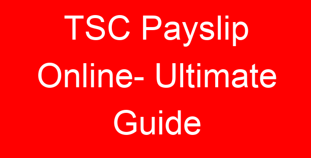 TSC Payslip Online- Ultimate Guide