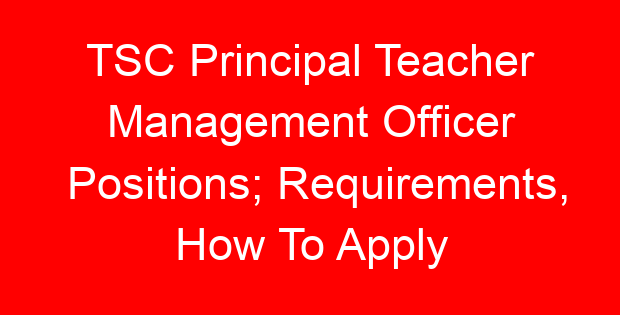 TSC Principal Teacher Management Officer Positions; Requirements, How To Apply