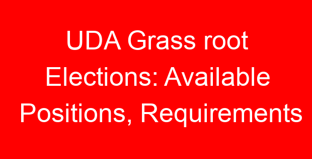 UDA Grass root Elections: Available Positions, Requirements
