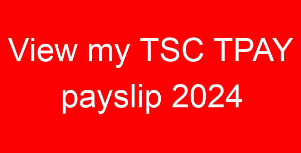 View my TSC TPAY payslip 2024