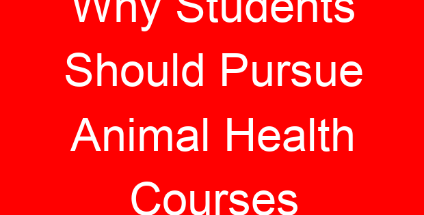 Why Students Should Pursue Animal Health Courses