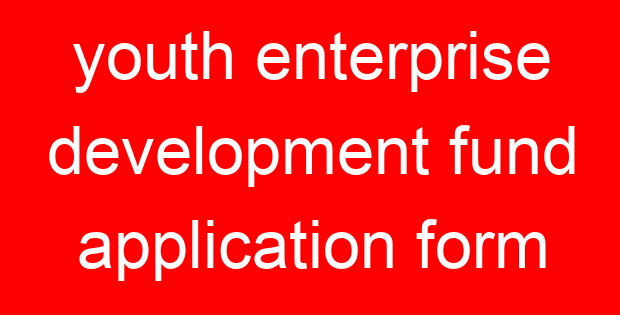 youth enterprise development fund application form