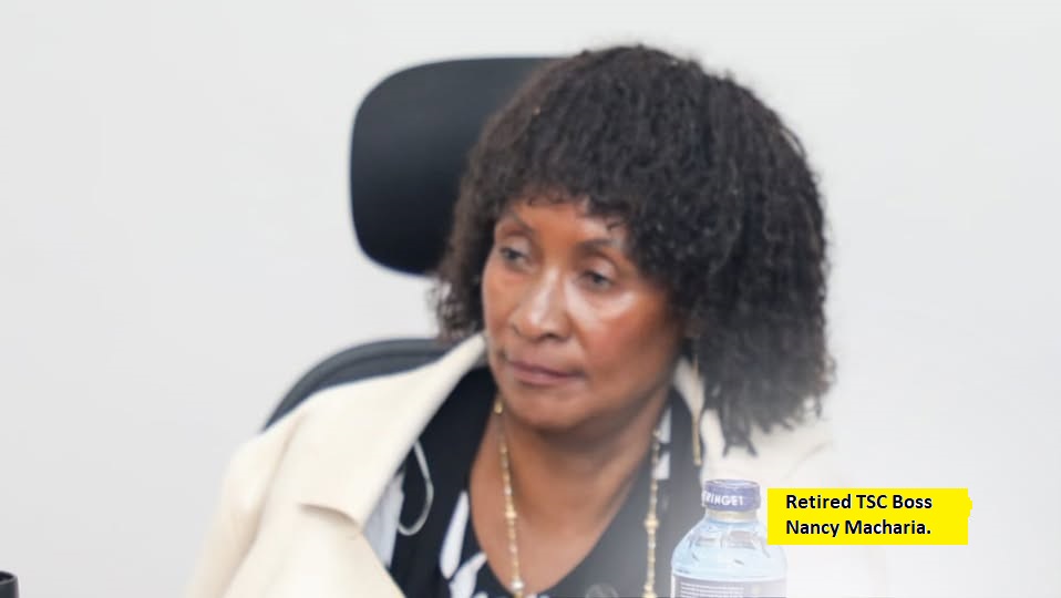Outgoing TSC CEO Nancy Macharia when she appeared before the Senate’s Cohesion, Equal Opportunity, and Regional Integration Committee at Bunge Towers, Parliament Buildings, Nairobi, on March 14, 2025.