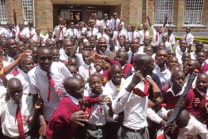 Senior Schools' details: CBE Subjects, Pathways, Contacts, Location, Fees and Performance.