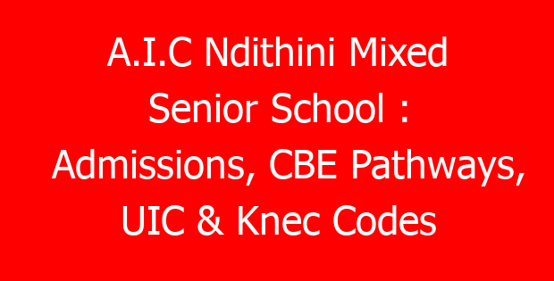 A.I.C Ndithini Mixed Senior School : Admissions, CBE Pathways, UIC & Knec Codes
