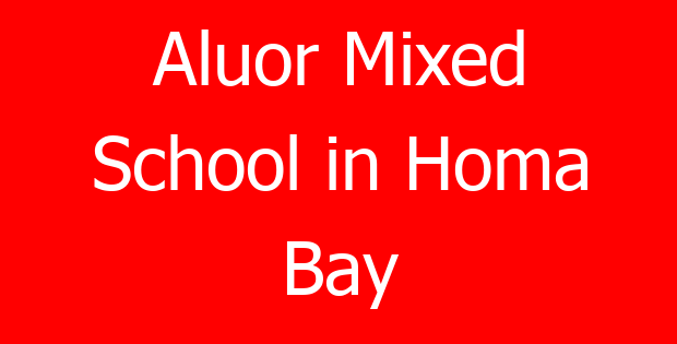 Aluor Mixed School in Homa Bay